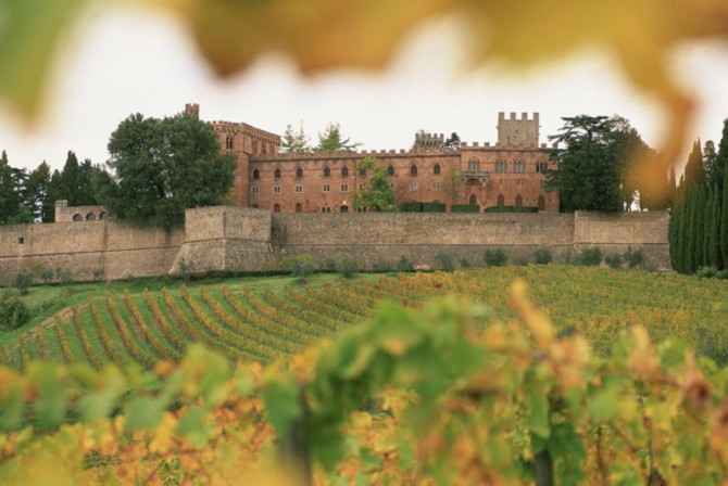 Castello di Brolio, Chianti, looking through autumn vineyard leaves, Tuscany, Italy