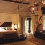 estilop_strip_47800_1_full