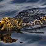 Serra do Amolar Araquem Alcantara