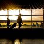silhouette-of-person-in-airport-227690