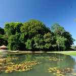 CACIO-MURILOJardimBotanico3