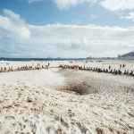 A-PRAIA-E-O-TEMPO-ELISAMENDES-7-low