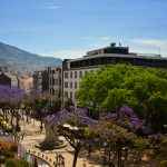 Funchal city4© FC-Turismo da Madeira.jpg (2)