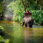 atividades-tailandia-passeio-elefante