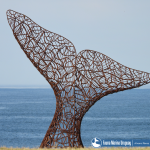 escultura rabo de baleia 2 – credito alvaro perez tort e diego rubio