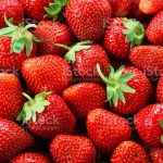 Strawberry background. Strawberries.