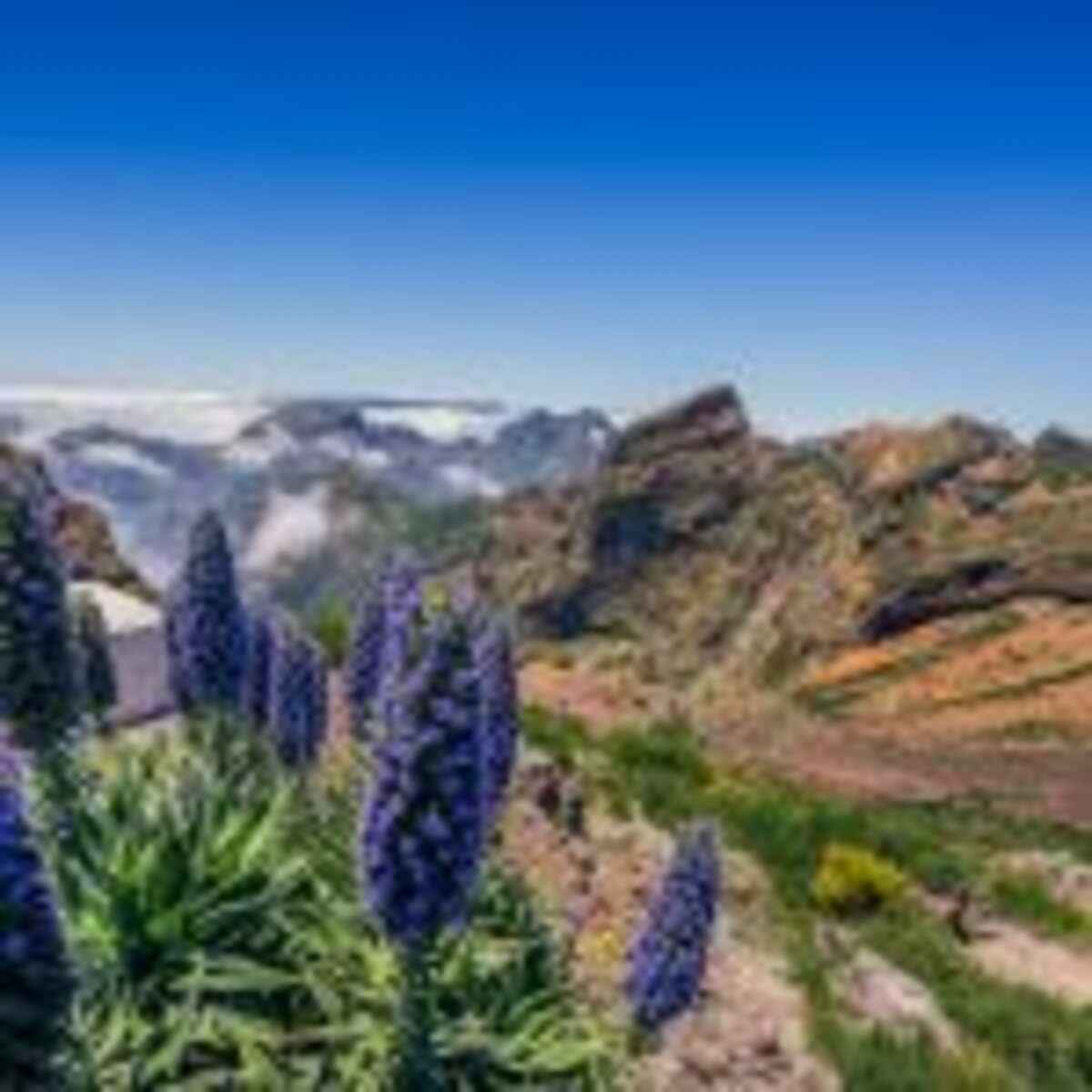 _17 – Pico do Areeiro – Ilha da Madeira (1)