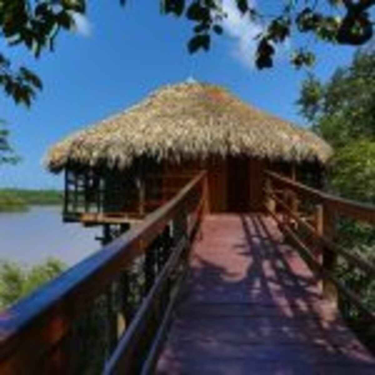 Juma Amazon Lodge – bangalô panorâmico 1