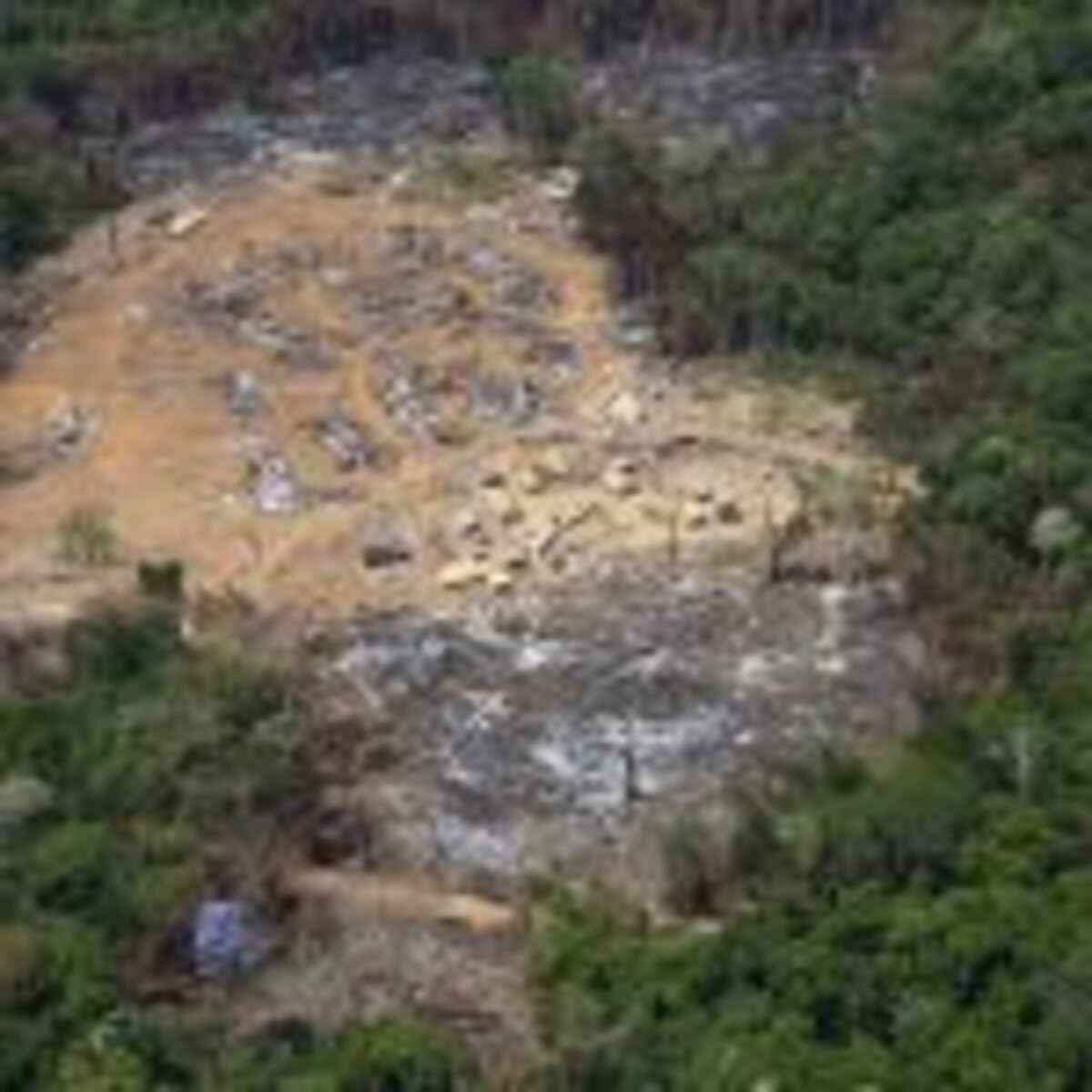 araquemalcantara-amazonia-desmatamento-queimadas-wwf-brasil-neomondo-sustentabilidade-inpe