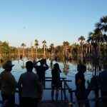 Lagoa das Araras – Nobres MT – Observatório de Pássaros