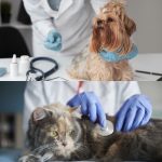 WhatsApp Image 2021-04-19 at 14.30.40