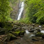 Reserva Natural Salto Morato, Guaraquecaba, Parana, Brasil, foto de Ze Paiva, Vista Imagens.