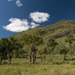 Reserva Natural Serra do Tombador, Cavalcante, Goias, Brasil, foto de Ze Paiva, Vista Imagens.