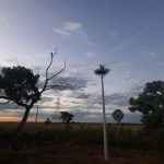 Alexander de Oliveira 3