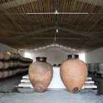 Talhas – Herdade do Esporão – Credito Victor Carvalho