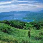 Amami-Oshima-Island-“Photograph-provided-by-Kagoshima-Prefectural-Visitors-Bureau”