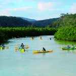 Gesaji Mangrove Kayak