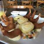 imperador-dos-camaroes