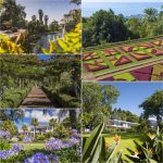 4D4734F7-6B7D-4376-91E8-ABC87F71338C