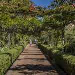 Jardim Quinta do Palheiro – crédito Francisco Correia