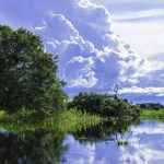 Pantanal_Mato_Grosso_Brasil