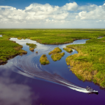 capa_mag_artigo-zarpo_pantanal