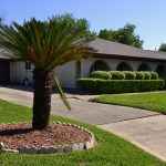 tree-3252382_1920