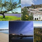 752B4E60-E9C1-4E6B-86B0-EAA1EA68E5FA