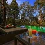UX-Wayanad-Wild—Rainforest-Lodge