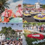 D7101215-B468-4B05-BB2D-FB48F8705414