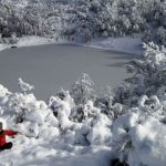 6e04f68842ac48f7f3c7e764f37362c0