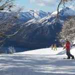 unnamed – 2023-05-12T115553.895