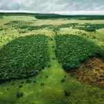 desmatamento-amazonia-cresce-20-por-cento-agosto-2018-abril-2019-abre-conexao-planeta