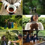 08E27A55-DDD0-4268-BFD8-6B189ADD1F77