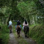 F22525C3-ECC1-4F97-86E5-75F371E8473B