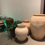 IMG_0116
