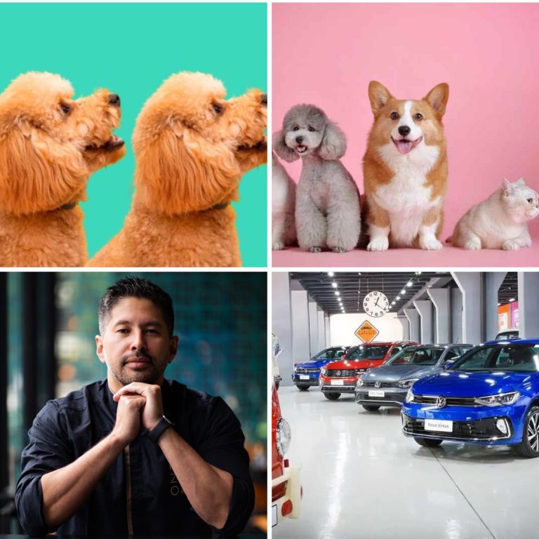 Nina, Mel, Bob e Thor: saiba quais são os nomes mais comuns dos pets dos brasileiros