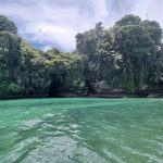 Isla_Pajaros_Bocas_del_Toro