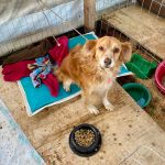 A46039B9-8B4C-45C3-BEC4-FE9D18299B99