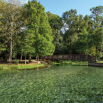 34489626_Rock_Springs_Run_State_Reserve_Water_Wonders_Miguel_Karroum