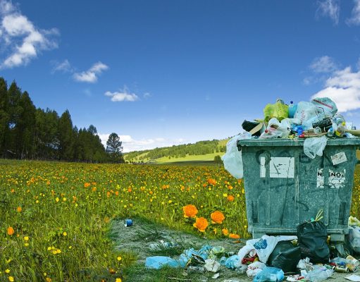 Além do mito: como o plástico pode deixar de ser o vilão