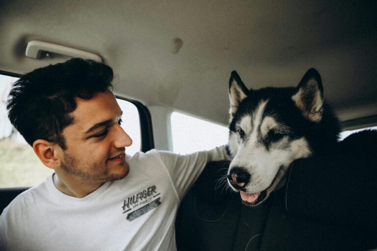 Dicas para viajar com pets no Carnaval