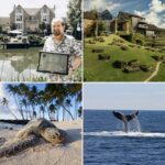 97DF4A8D-7872-429B-824F-258F06408AA3