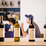 Degustação de vinhos