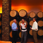 Visitas guiadas e desgustação de vinhos