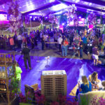 Feira de vinhos Comper 2024 – 2