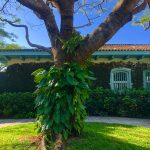 AirConcierge-Ana-Maria-Braga-Fazenda-Primavera-Jun-2025-2