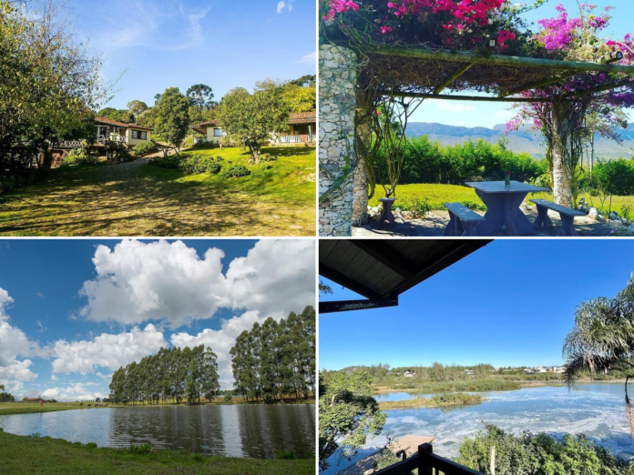 Design sem nome (21)