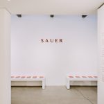 SAUER(19)