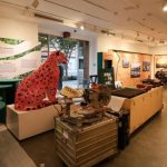 WhatsApp Image 2025-10-30 at 08.54.04